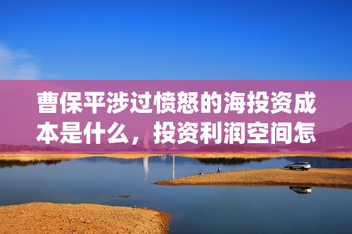 曹保平涉过愤怒的海投资成本是什么，投资利润空间怎么样(曹保平电影作品大全)