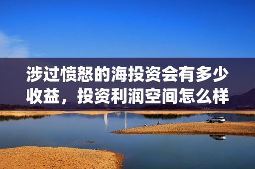 涉过愤怒的海投资会有多少收益，投资利润空间怎么样(涉过愤怒的海简介)