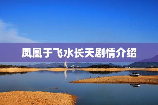 凤凰于飞水长天剧情介绍