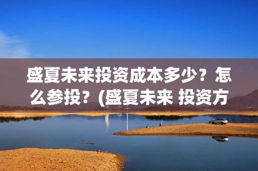盛夏未来投资成本多少？怎么参投？(盛夏未来 投资方)