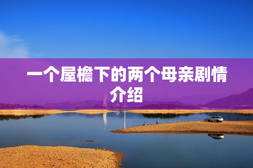 一个屋檐下的两个母亲剧情介绍