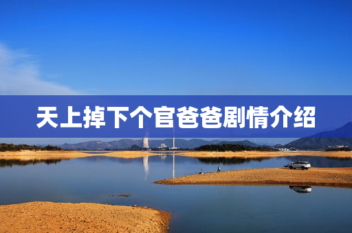 天上掉下个官爸爸剧情介绍