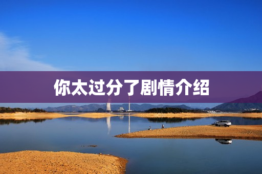 你太过分了剧情介绍 你太过分了剧情介绍