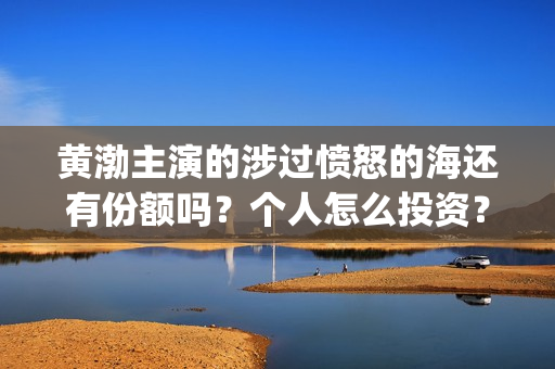 黄渤主演的涉过愤怒的海还有份额吗？个人怎么投资？(由黄渤主演的电影)