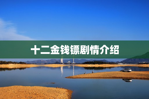 十二金钱镖剧情介绍