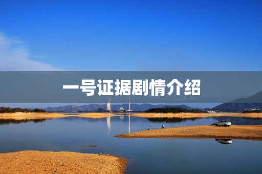 一号证据剧情介绍