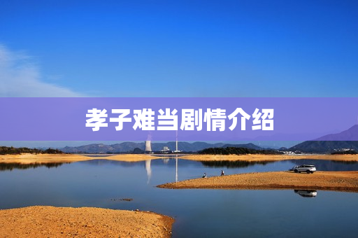 孝子难当剧情介绍