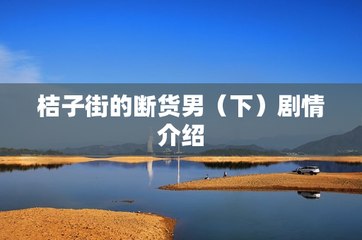 桔子街的断货男（下）剧情介绍