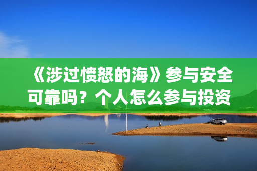 《涉过愤怒的海》参与安全可靠吗？个人怎么参与投资？(涉过愤怒的海事件原型)