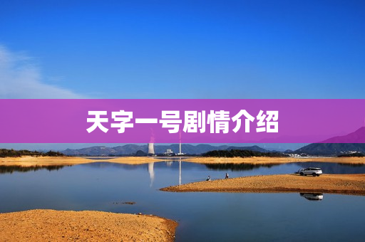 天字一号剧情介绍