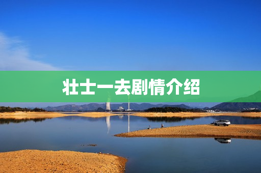 壮士一去剧情介绍