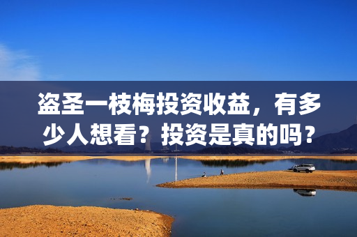 盗圣一枝梅投资收益，有多少人想看？投资是真的吗？(盗侠一枝梅)