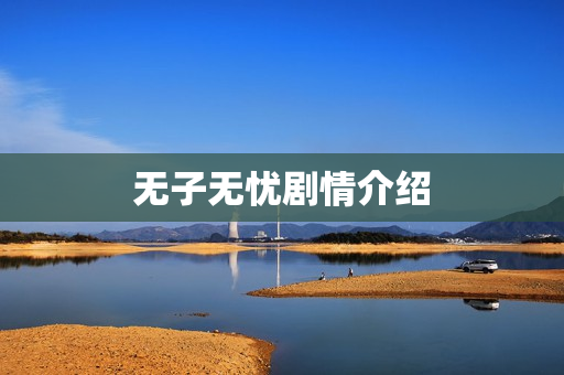 无子无忧剧情介绍