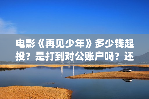 电影《再见少年》多少钱起投？是打到对公账户吗？还有投资份额吗？(再见少年电影啥意思)
