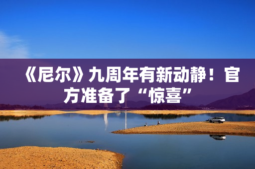 《尼尔》九周年有新动静！官方准备了“惊喜”