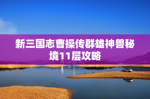 新三国志曹操传群雄神兽秘境11层攻略