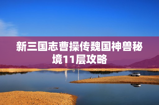 新三国志曹操传魏国神兽秘境11层攻略