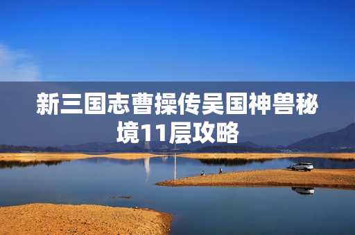 新三国志曹操传吴国神兽秘境11层攻略