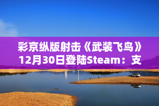 彩京纵版射击《武装飞鸟》12月30日登陆Steam：支持双人游玩，新增在线排行