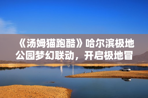 《汤姆猫跑酷》哈尔滨极地公园梦幻联动，开启极地冒险！12月22日开启你的冬日奇梦！