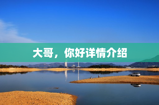 大哥，你好详情介绍