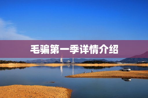 毛骗第一季详情介绍