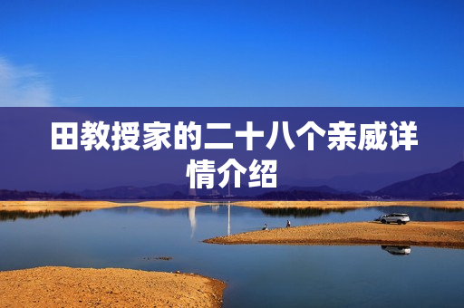 田教授家的二十八个亲威详情介绍