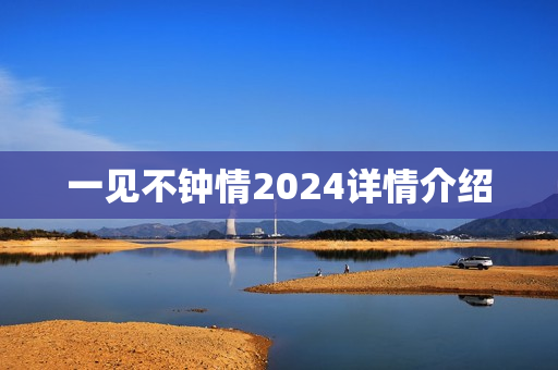 一见不钟情2024详情介绍