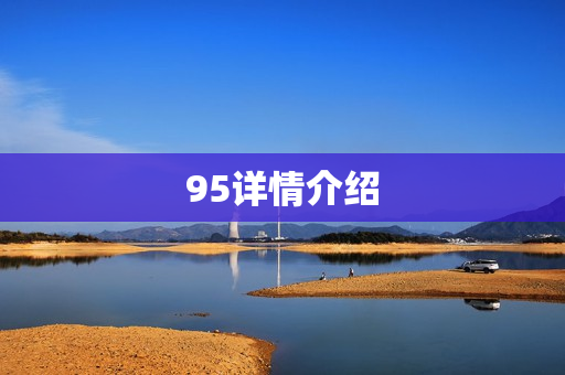 95详情介绍