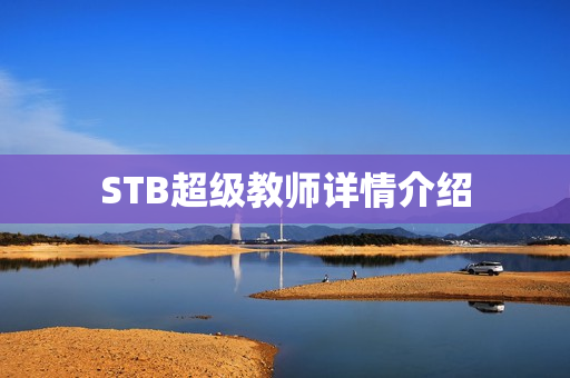 STB超级教师详情介绍