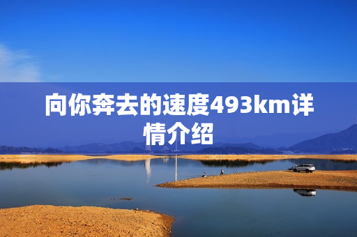 向你奔去的速度493km详情介绍
