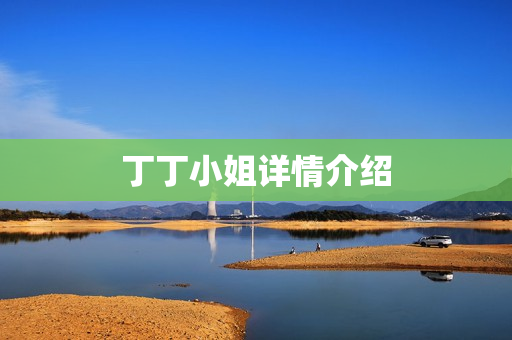 丁丁小姐详情介绍