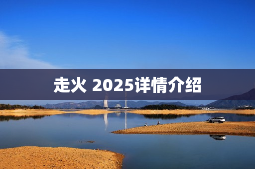 走火 2025详情介绍