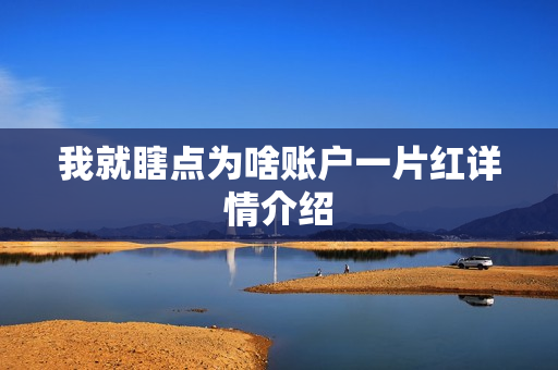 我就瞎点为啥账户一片红详情介绍