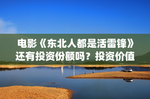 电影《东北人都是活雷锋》还有投资份额吗？投资价值怎么样？(看一下东北人)