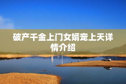 破产千金上门女婿宠上天详情介绍