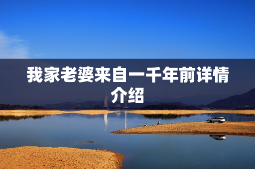 我家老婆来自一千年前详情介绍