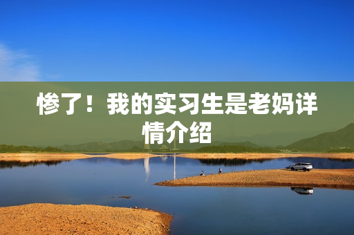 惨了！我的实习生是老妈详情介绍