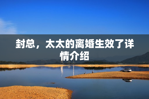 封总，太太的离婚生效了详情介绍