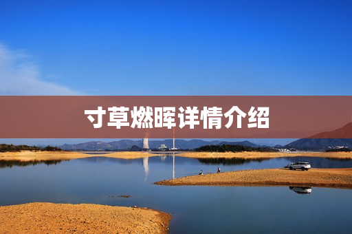 寸草燃晖详情介绍