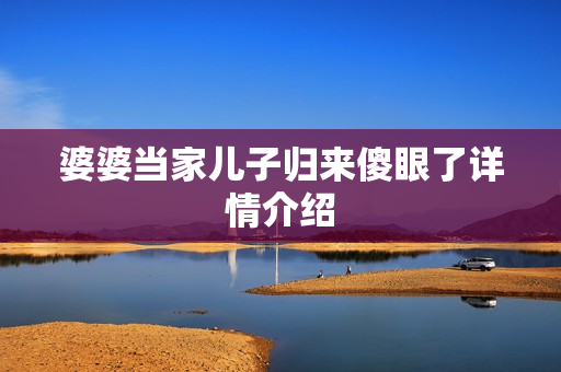 婆婆当家儿子归来傻眼了详情介绍