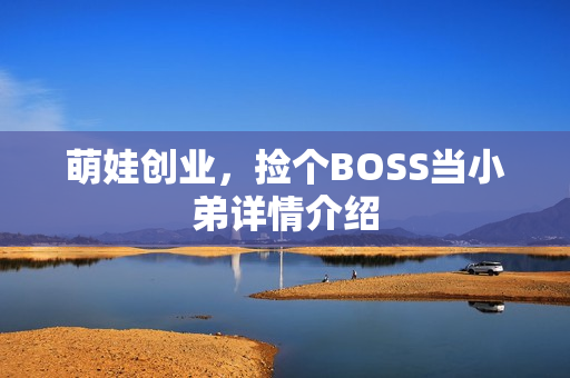 萌娃创业，捡个BOSS当小弟详情介绍