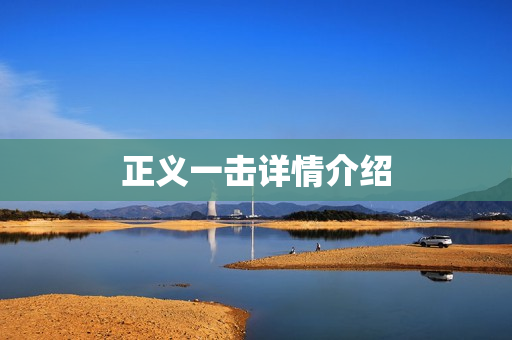 正义一击详情介绍