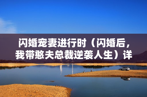 闪婚宠妻进行时（闪婚后，我带憨夫总裁逆袭人生）详情介绍