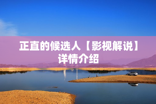 正直的候选人【影视解说】详情介绍