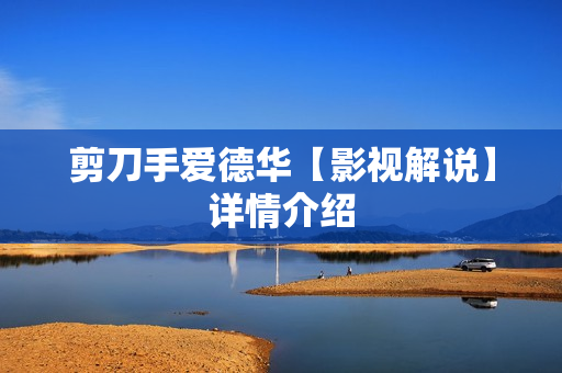 剪刀手爱德华【影视解说】详情介绍