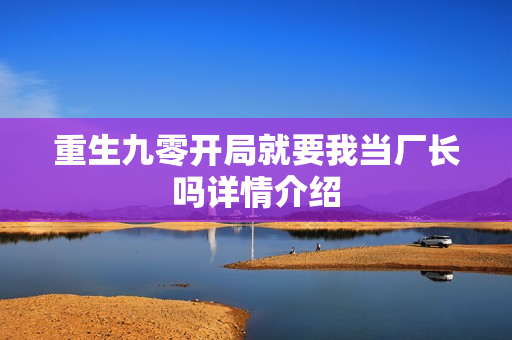 重生九零开局就要我当厂长吗详情介绍