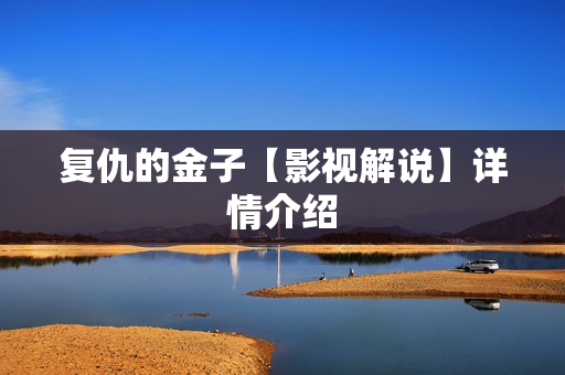 复仇的金子【影视解说】详情介绍