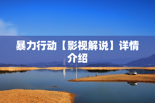 暴力行动【影视解说】详情介绍