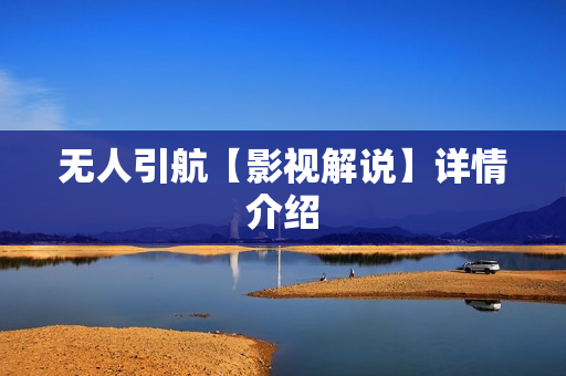 无人引航【影视解说】详情介绍